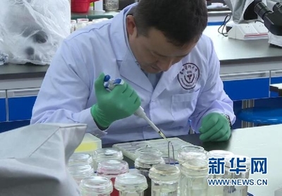 一门医学细胞生物学里的课程思政实践