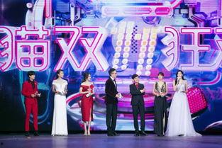 双11晚会明星,明星阵容闪耀狂欢之夜