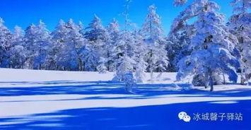 冬天的秘密图片,一幅冰雪世界的画卷