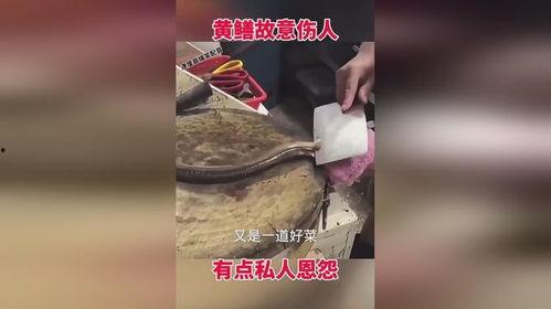 勾黄鳝搞笑视频,笑料百出，欢乐无限