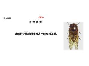 金蝉脱壳的相关资料,自然界的神奇蜕变之旅